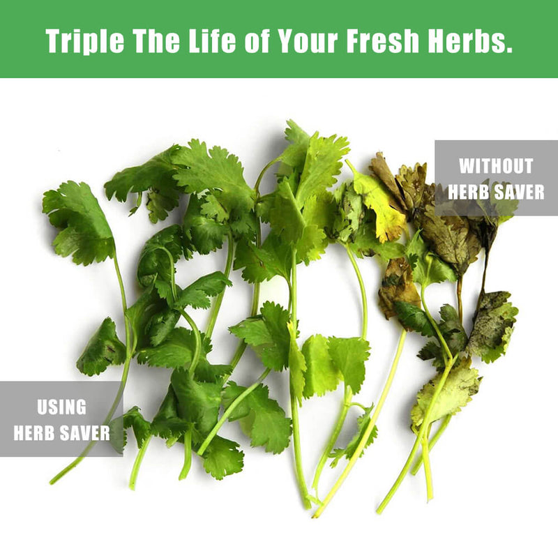 The Herb Keeper - Triple the Life of Fresh Herbs