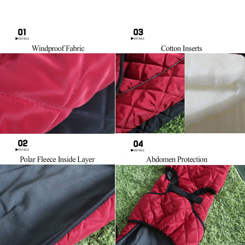 Winter Outdoor Coat for Dogs