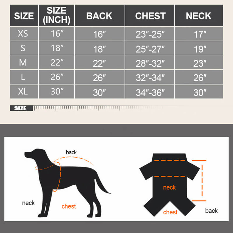 Winter Outdoor Coat for Dogs